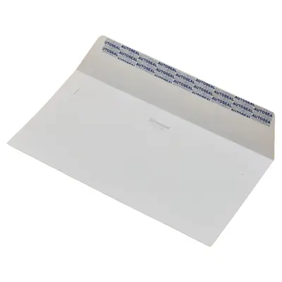 ENVELOPE WHITE 4X9